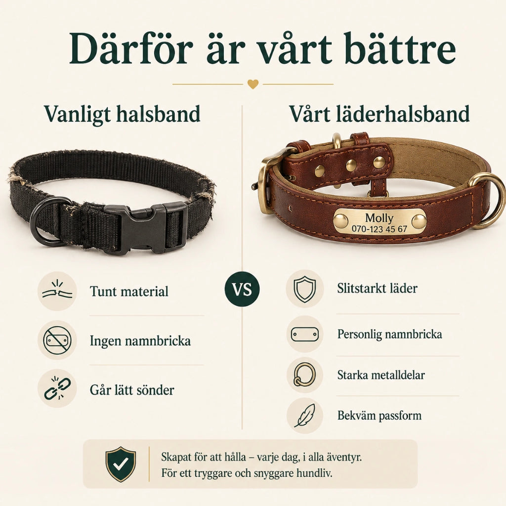 Tagley läderhalsband jämfört med vanligt halsband - Djurslottet