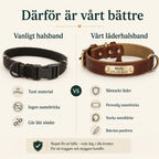 Tagley läderhalsband jämfört med vanligt halsband - Djurslottet