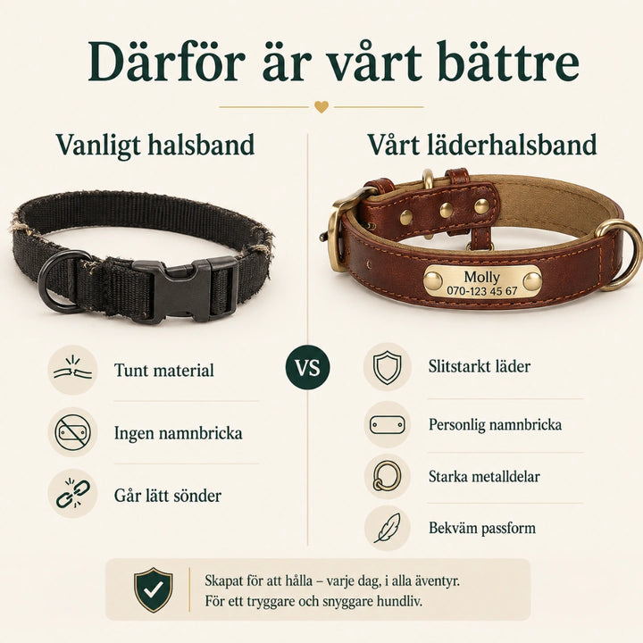 Tagley läderhalsband jämfört med vanligt halsband - Djurslottet