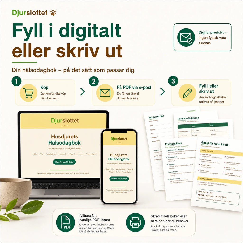 Så fungerar Husdjurets Hälsodagbok – köp, få PDF via e-post och fyll i digitalt eller skriv ut på papper.