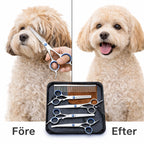 hundsax set före och efter bild - Djurslottet