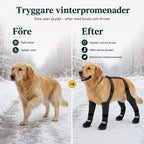 Före och efter, kalla tassar mot skyddade tassar på vinterpromenaden - Djurslottet
