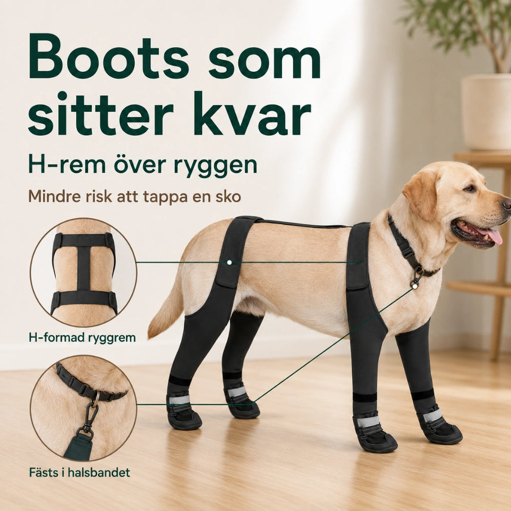 H-formad ryggrem som håller skorna kvar - Djurslottet