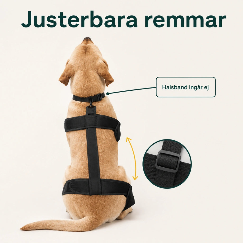 Justerbara remmar med kardborre på hundskorna - Djurslottet