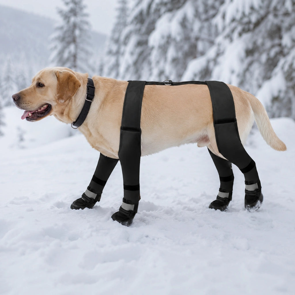 Hund går i djup snö med vinterskor och H-rem - Djurslottet