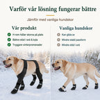Våra hundskor med H-rem jämförda med vanliga hundskor - Djurslottet