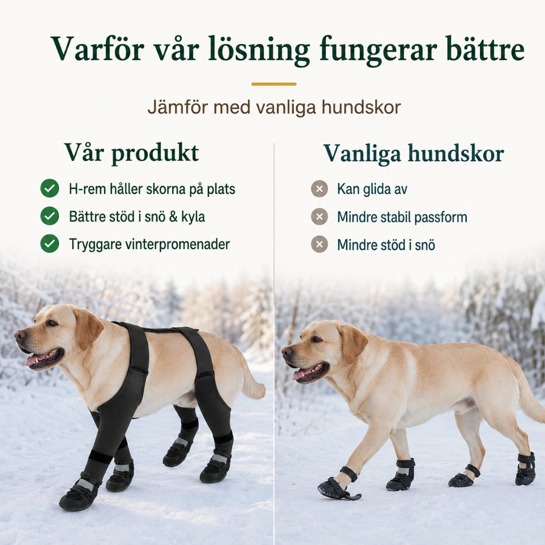 Våra hundskor med H-rem jämförda med vanliga hundskor - Djurslottet