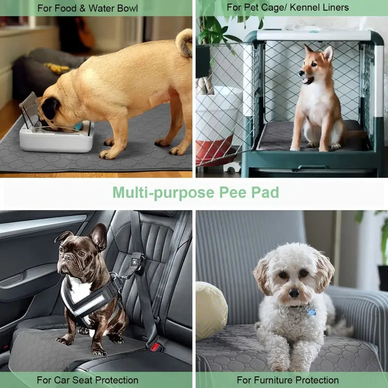 PupClean Tvättbar Valpmatta - Djurslottet