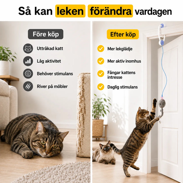 interaktiv kattleksak före efter bild - Djurslottet