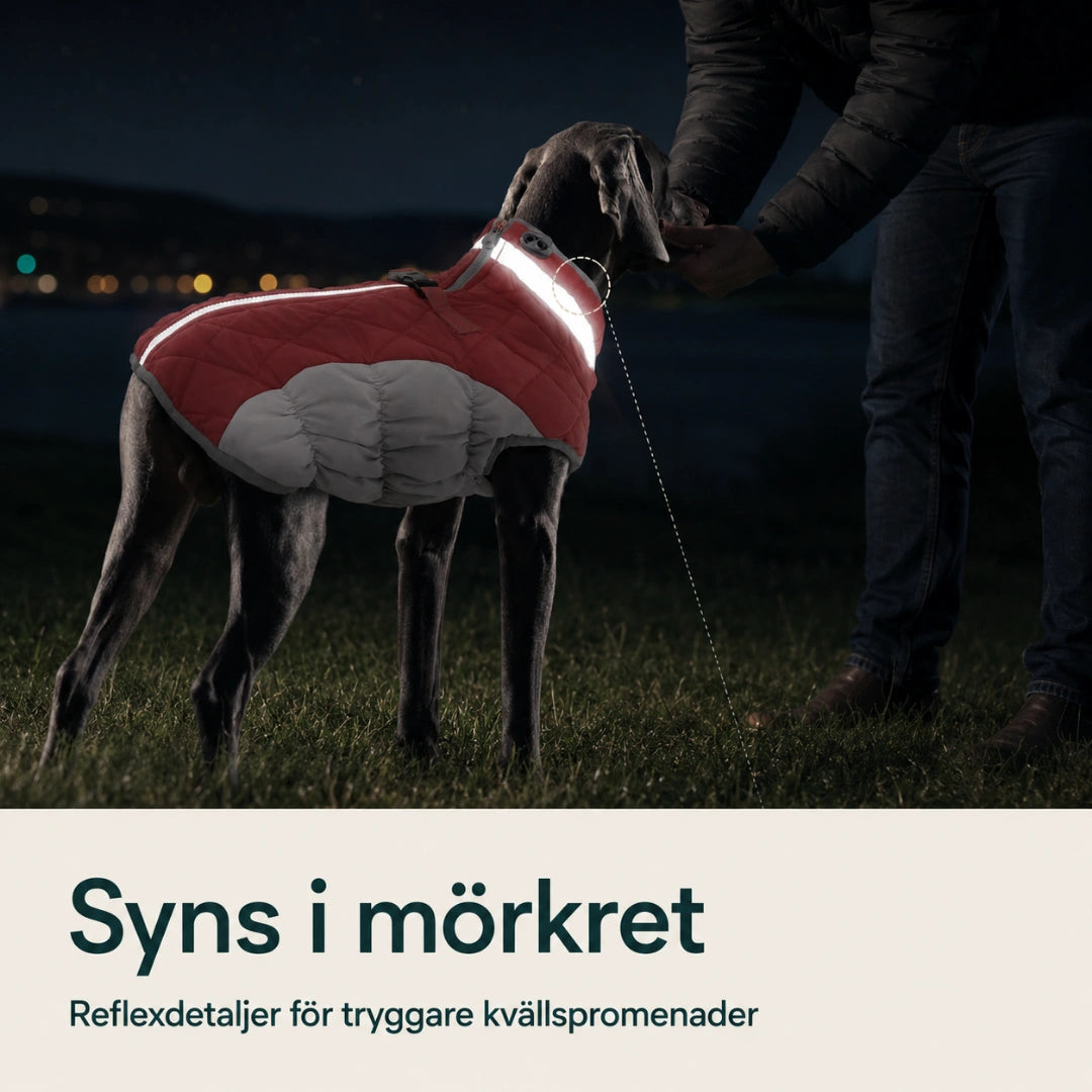 Nordvarm Vinterjacka med reflex syns i mörkret - Djurslottet