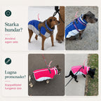 Nordvarm Vinterjacka med sele för starka och lugna hundar - Djurslottet
