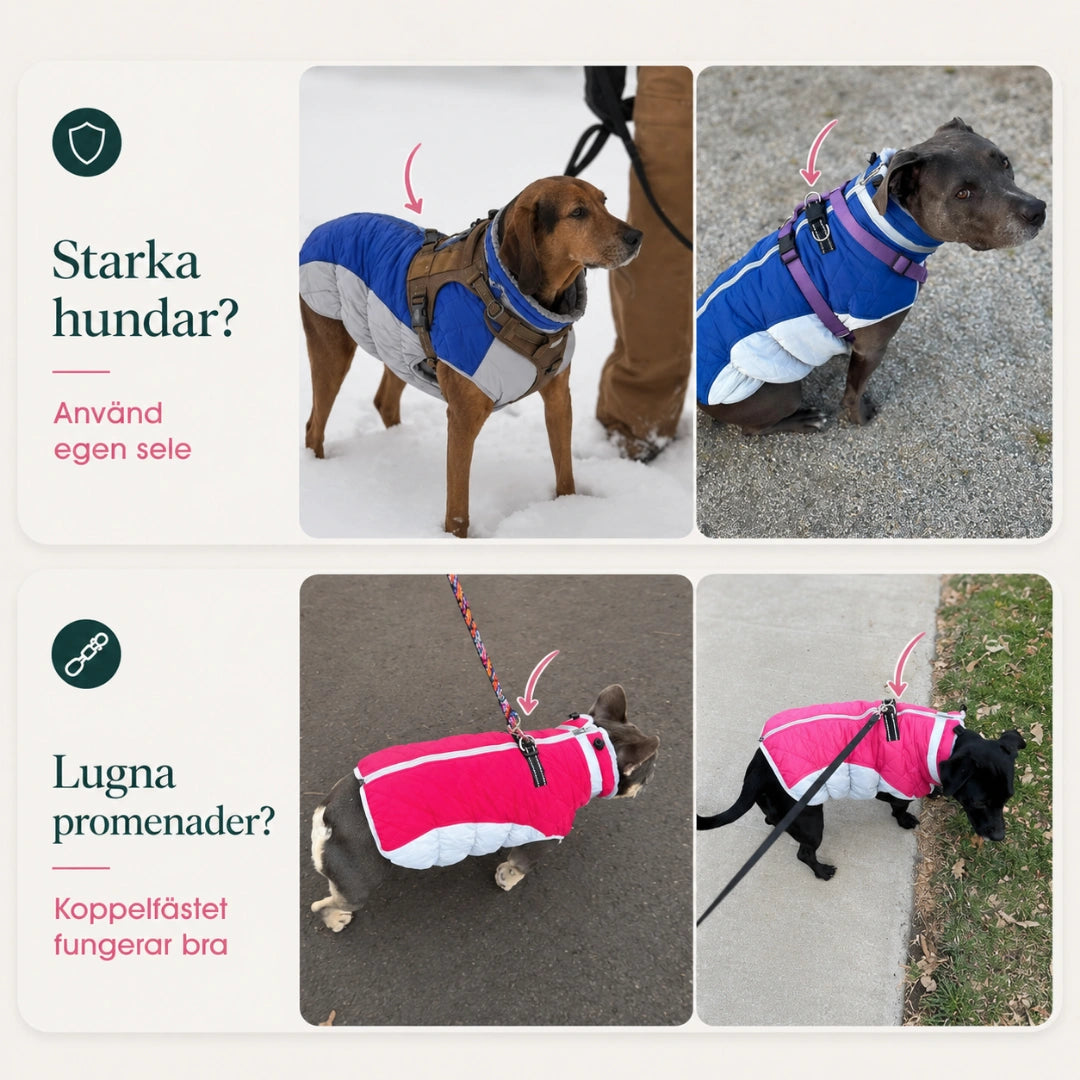 Nordvarm Vinterjacka med sele för starka och lugna hundar - Djurslottet