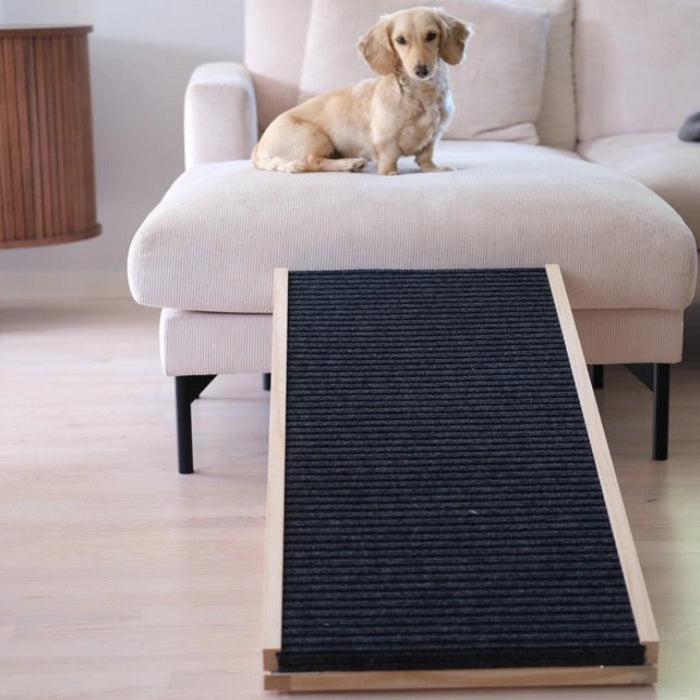 justerbar hundramp miljöbild 1 - Djurslottet