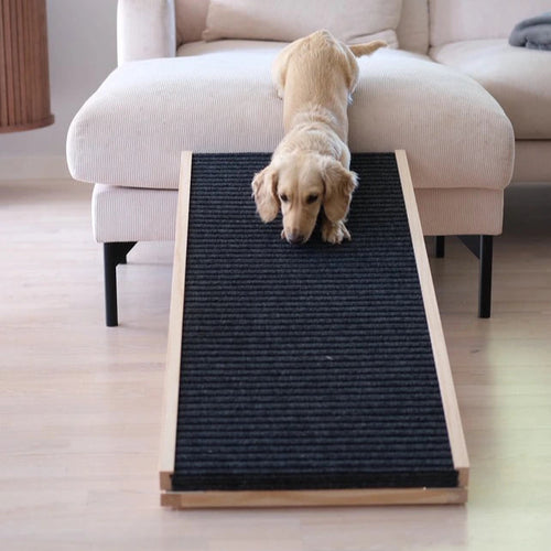 justerbar hundramp miljöbild 2 - Djurslottet