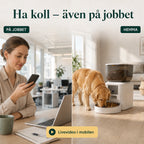 Livevideo från foderautomaten i mobilen medan du är på jobbet - Djurslottet