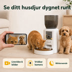Vridbar kamera med livevideo och mörkerseende visar hund och katt - Djurslottet