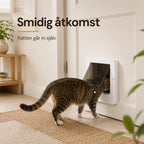 Katt går genom PetVent kattlucka med chiphalsband – Djurslottet