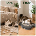 Före och efter med massagematta för katt - Djurslottet
