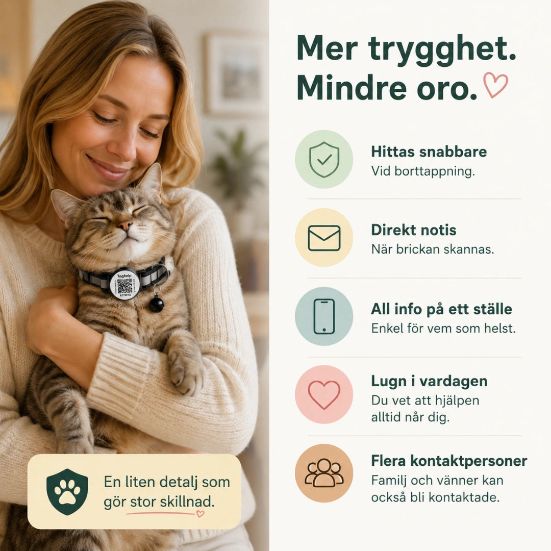 Mer trygghet för utekatten med QR-halsband - Djurslottet