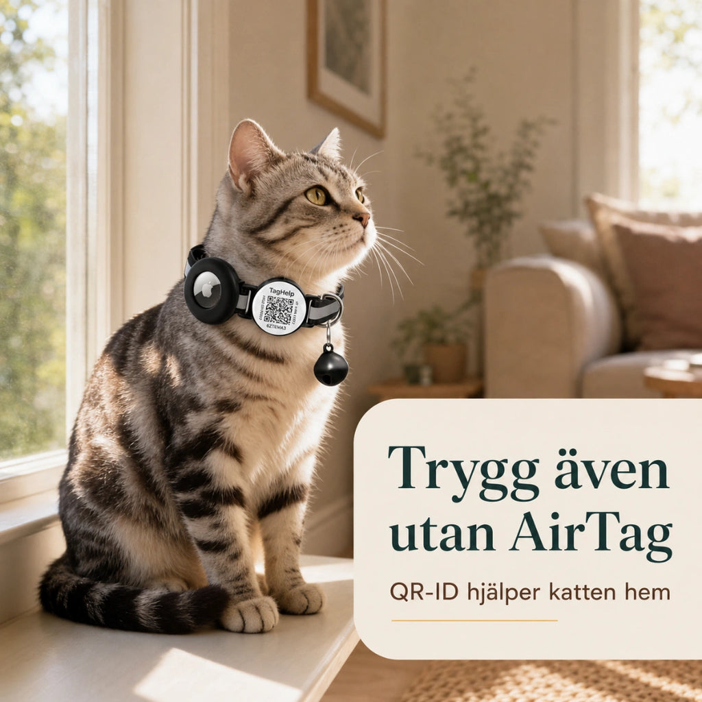 Trygg även utan AirTag tack vare QR-koden - Djurslottet