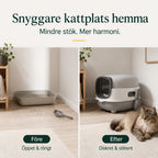 BingoPaws Stor kattlåda med tak i hemmet - Djurslottet
