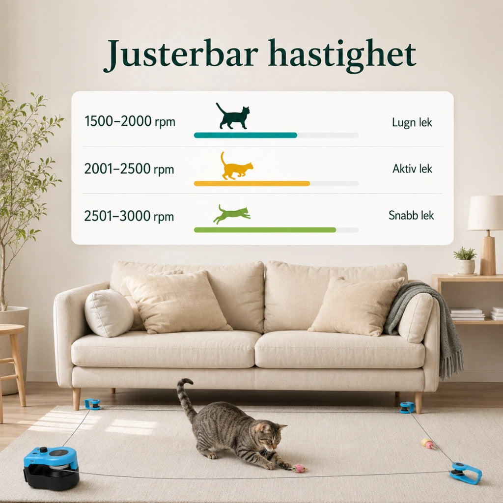 Purrnivo Automatisk Snörleksak med justerbar hastighet - Djurslottet