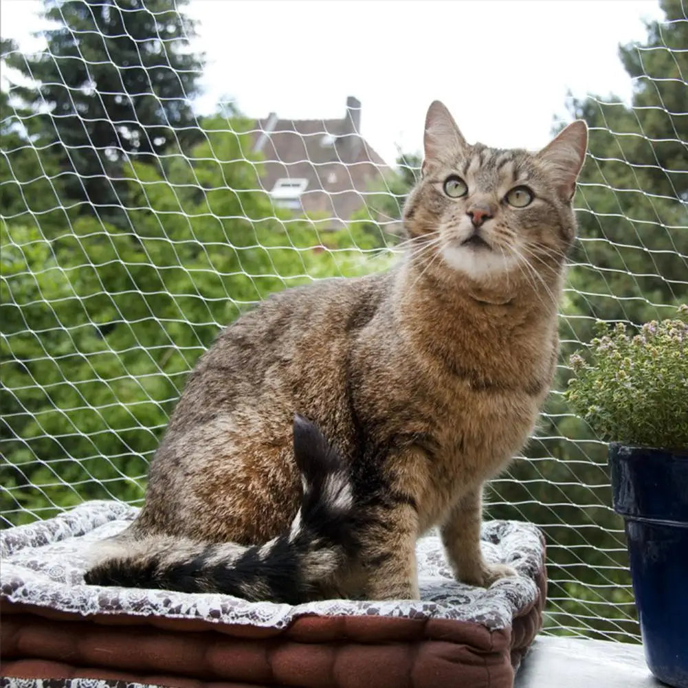 SafeGuard kattnät - Djurslottet