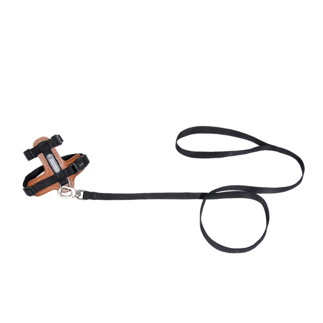 HiDream Leather Series kattsele - Djurslottet