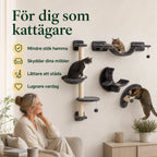 Fördelar med kattvägg för dig som kattägare - Djurslottet