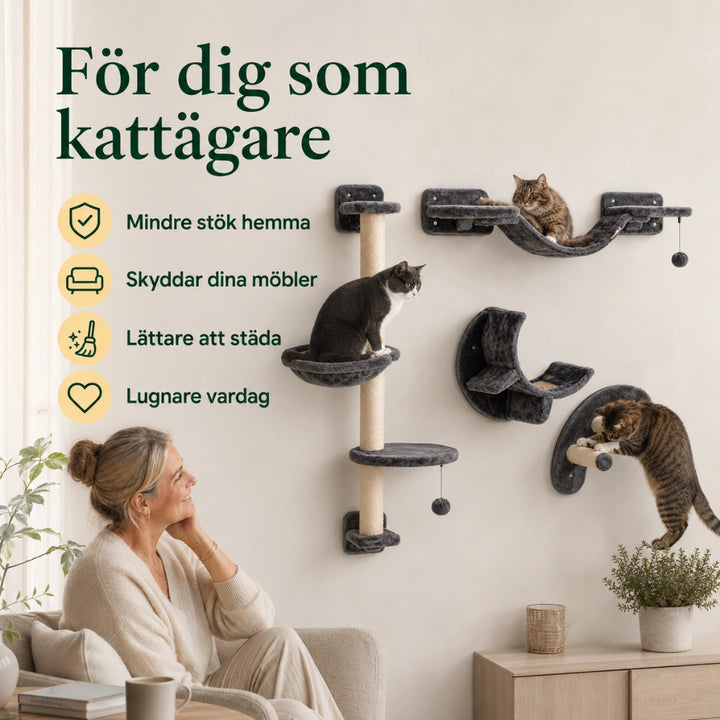Fördelar med kattvägg för dig som kattägare - Djurslottet