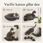 Varför katten gillar kattväggen, vila, utkik, klösyta och lek - Djurslottet