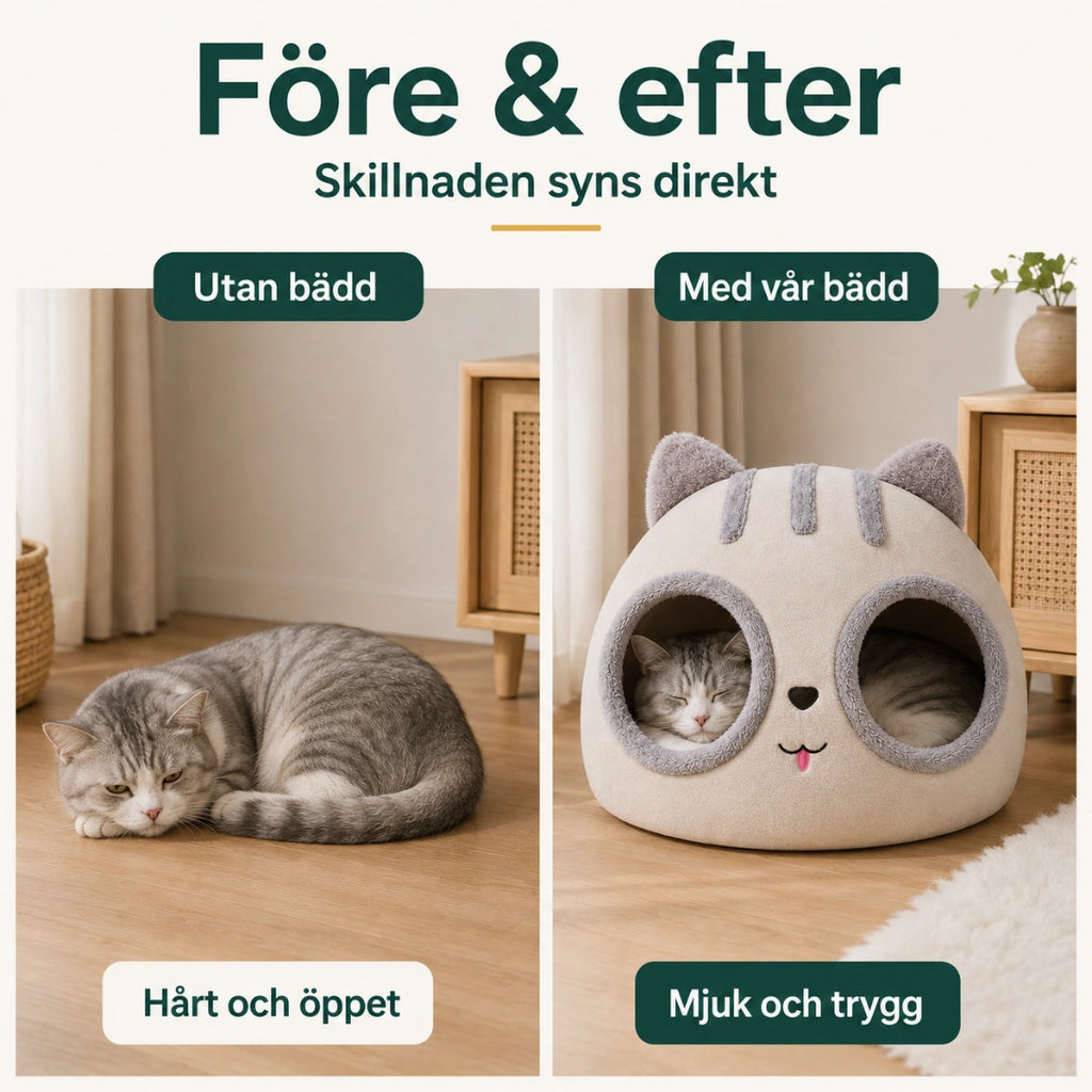 kittencomfy efter - Djurslottet