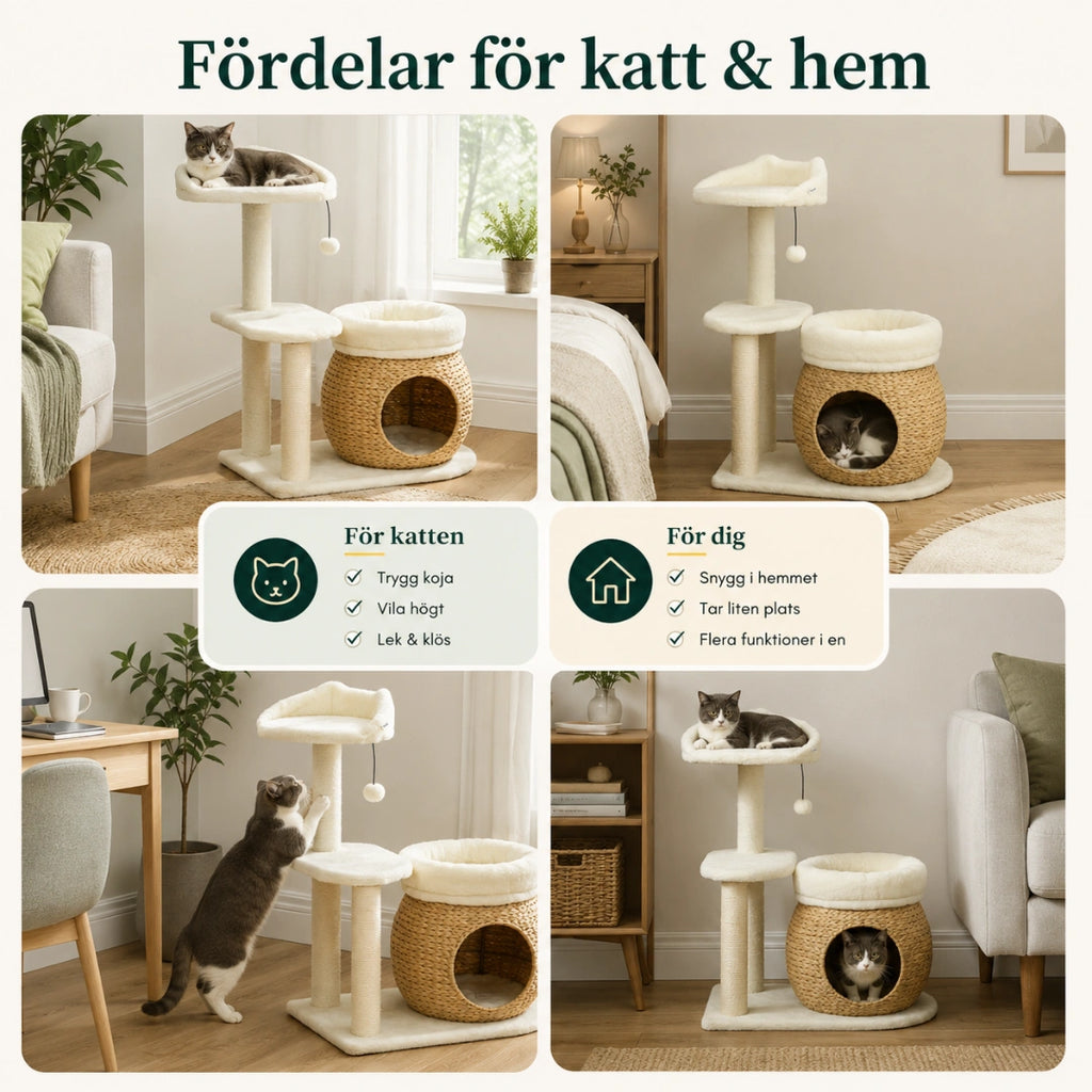 Fördelar med PawHut Klösträd med Kattgrotta för katt och hem - Djurslottet