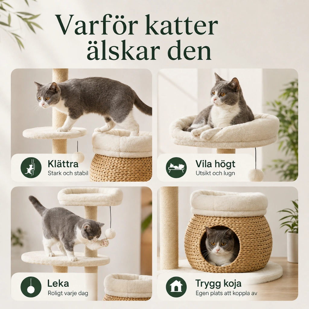 Katt klättrar, vilar och leker på PawHut Klösträd med Kattgrotta - Djurslottet
