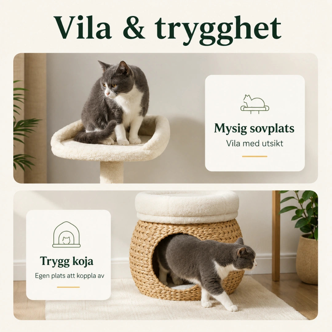 Katt vilar i kattgrottan på PawHut Klösträd med Kattgrotta - Djurslottet