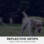 SafePaw Antiryckkoppel med Bilbältesfäste - Djurslottet