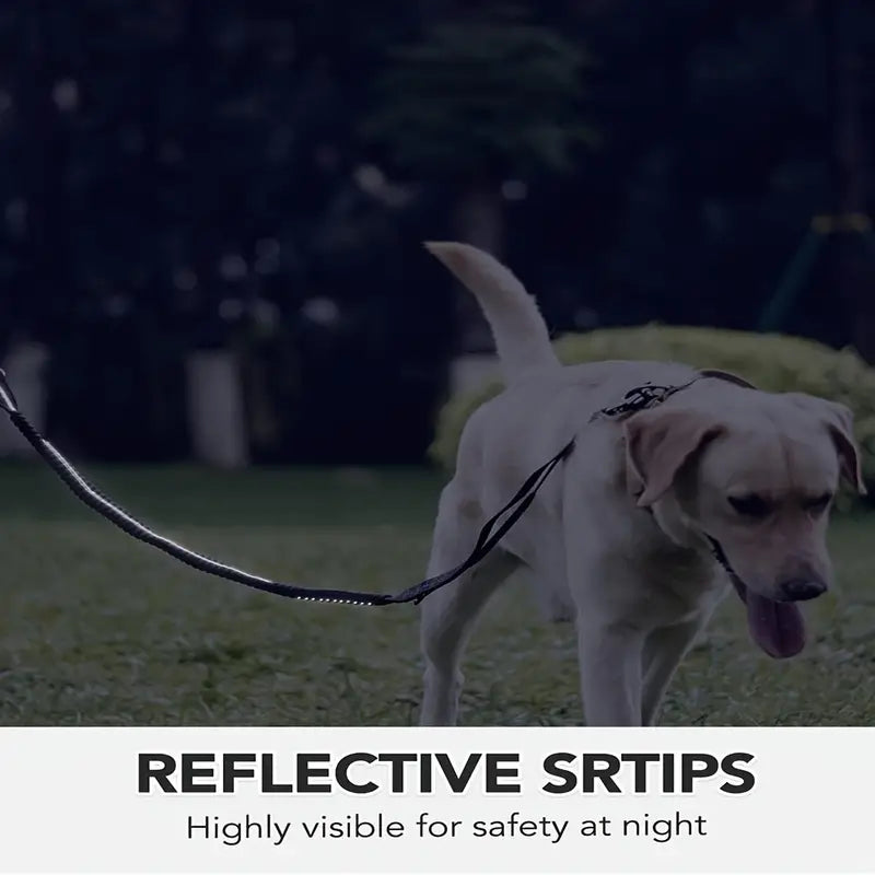 SafePaw Antiryckkoppel med Bilbältesfäste - Djurslottet