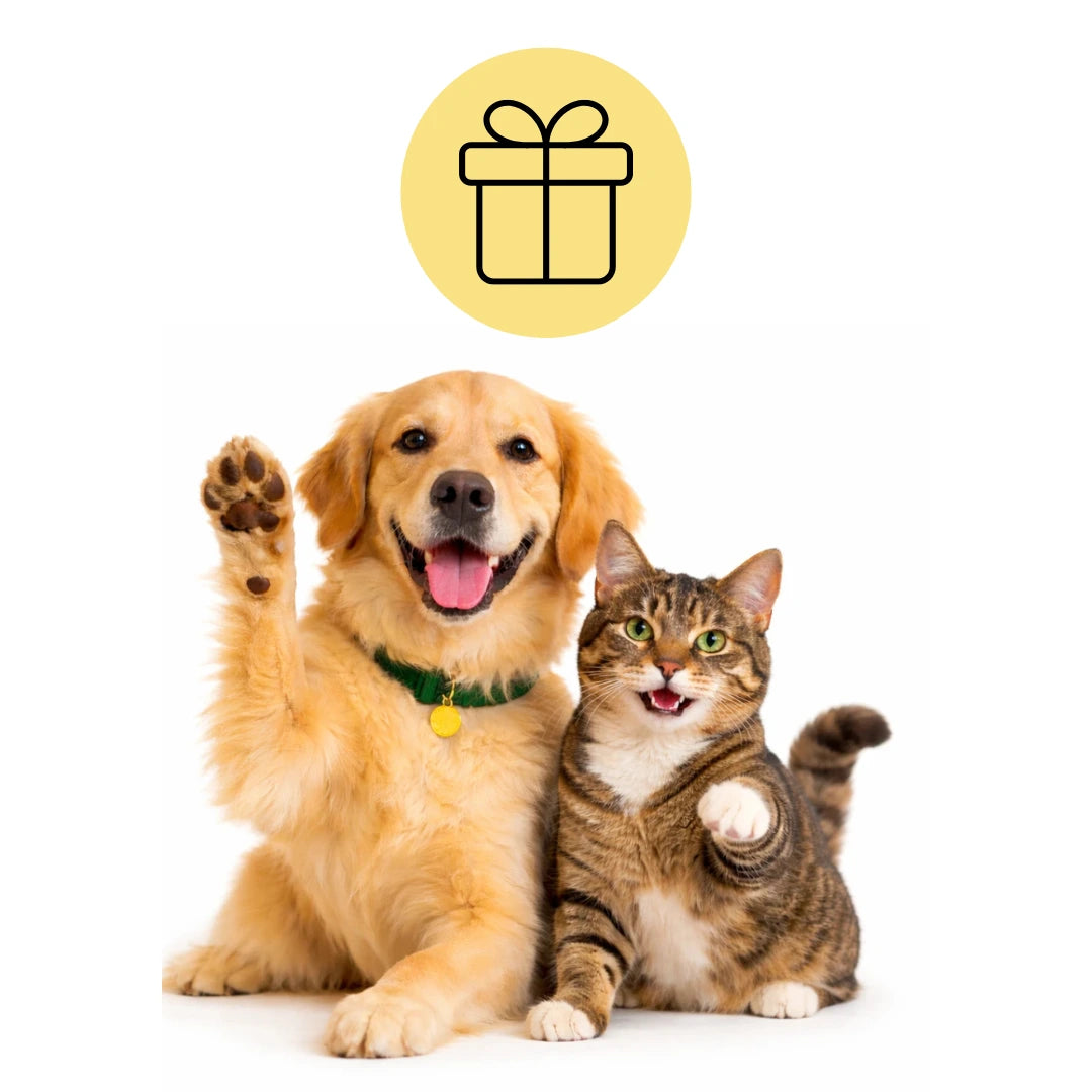 Djurslottets kundklubb