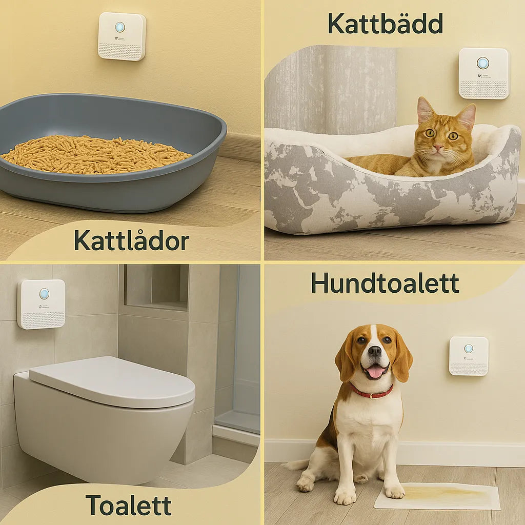 Luftrenare i hemmet – för kattlåda, kattbädd, toalett och hundtoalett med svensk text