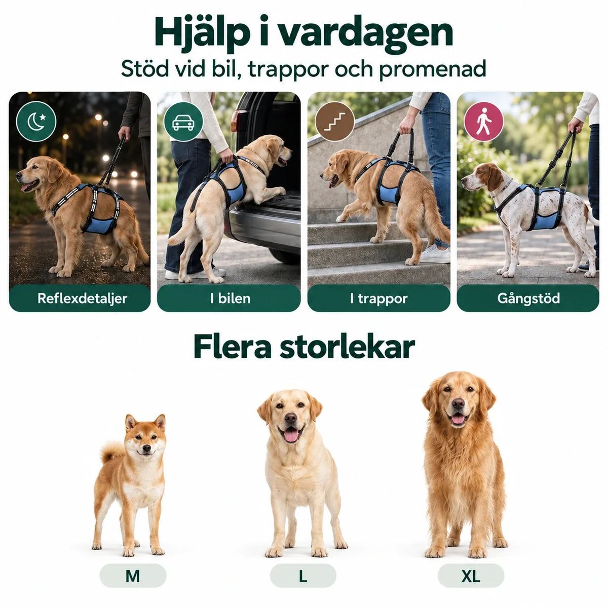 Lyftsele för Hund – lyftsele för hund vid bil, trappor och promenad samt storlekarna M, L och XL – Djurslottet