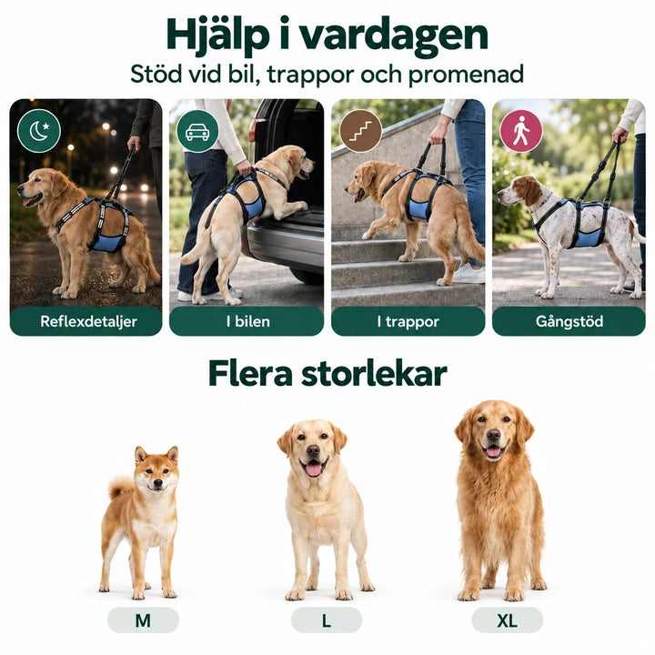 Lyftsele för Hund – lyftsele för hund vid bil, trappor och promenad samt storlekarna M, L och XL – Djurslottet