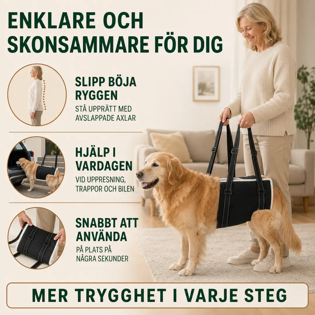 Fördelar med DogHalo lyftsele för dig och hunden - Djurslottet