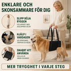 Fördelar med DogHalo lyftsele för dig och hunden - Djurslottet