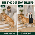 Före och efter med DogHalo lyftsele vid uppresning - Djurslottet