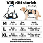 Lyftsele för Hund – tydlig storleksguide för M, L och XL med bröstomfång, selens längd och rasexempel.
