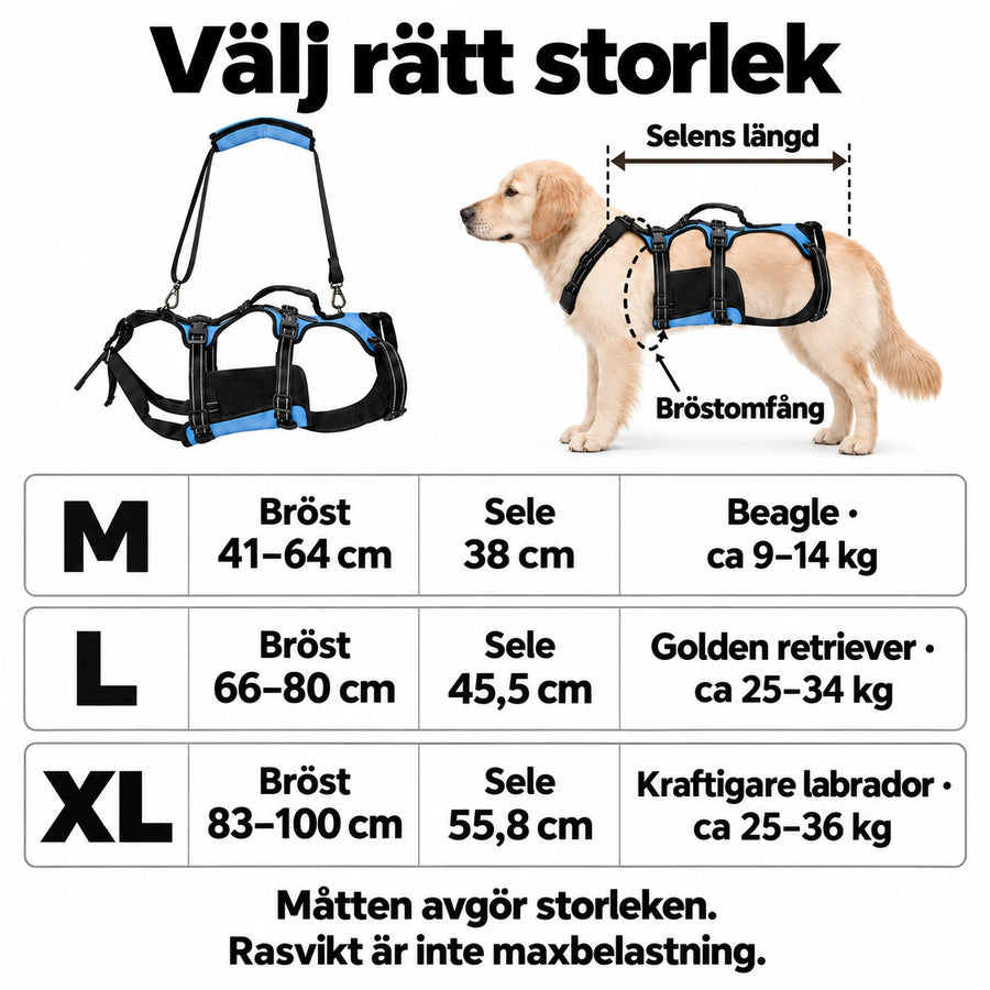Lyftsele för Hund – tydlig storleksguide för M, L och XL med bröstomfång, selens längd och rasexempel.