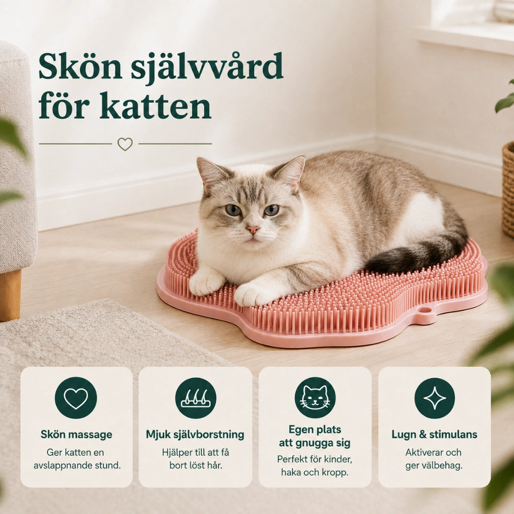 Fördelar med rosa massagematta för katt - Djurslottet