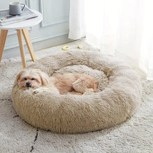 Comfydonut
