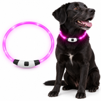 MultiGlow LED-halsband på hund; bilden visar ett ögonblick av automatisk färgväxling