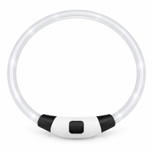 MultiGlow LED-halsband för hund och katt – One Size